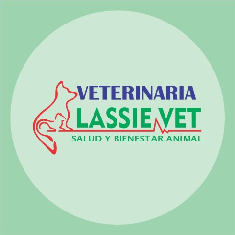 VETERINARIA LASSIE VET